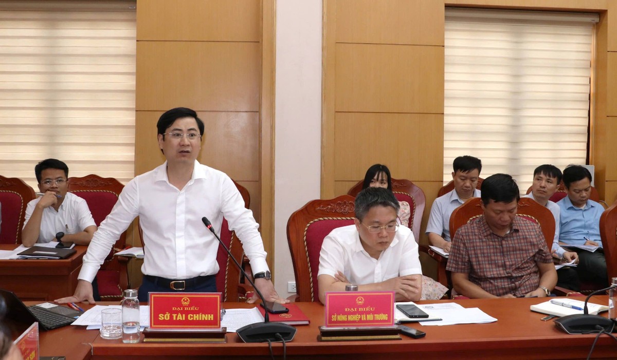 Lãnh đạo Sở Tài chính phát biểu tại hội nghị. Ảnh: Lương Hậu
