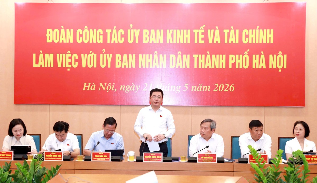 Phó Chủ tịch Quốc hội Nguyễn Hồng Diên phát biểu tại buổi làm việc.