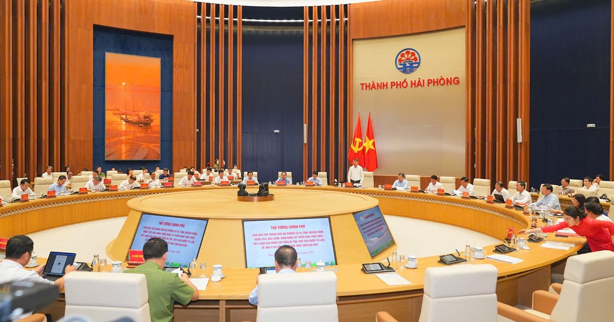 Quang cảnh cuộc làm việc