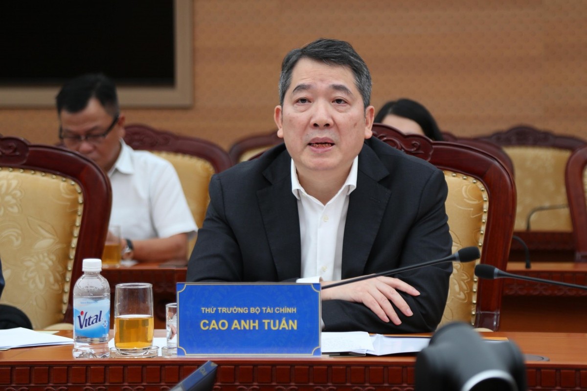 Thứ trưởng Bộ Tài chính Cao Anh Tuấn phát biểu. Ảnh: Đức Minh.