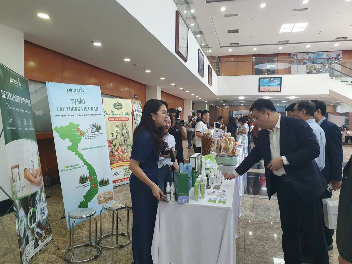 Các doanh nghiệp có nhu cầu sẽ được các đơn vị tham gia ký kết triển khai khảo sát thực tế tại doanh nghiệp, hỗ trợ thí điểm các gói tư vấn chuyên sâu. Ảnh: KL