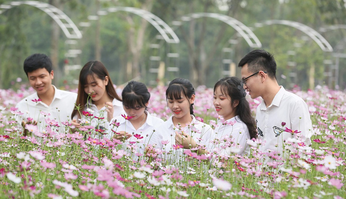 Lối sống xanh đang mở ra dư địa lớn cho các sản phẩm tài chính cá nhân thân thiện với môi trường