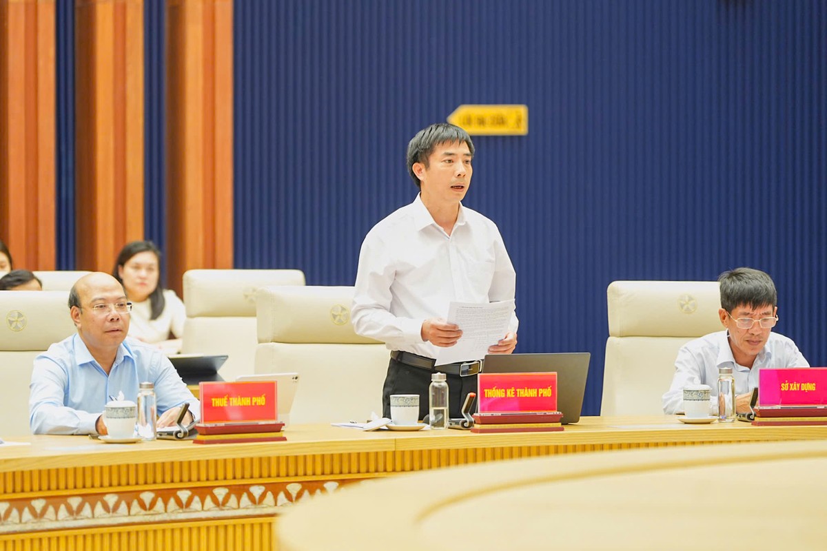 Lãnh đạo Thống kê thành phố Hải Phòng báo cáo tại phiên họp.