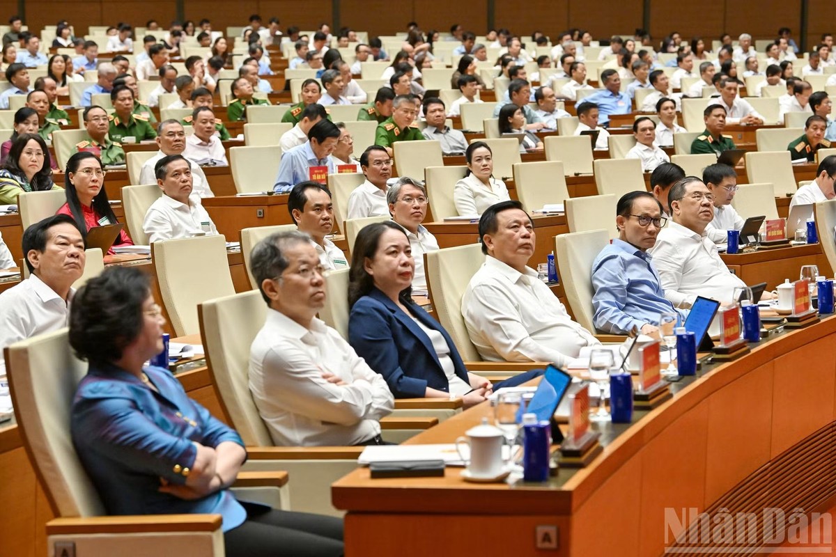 Các đại biểu tham dự hội nghị.