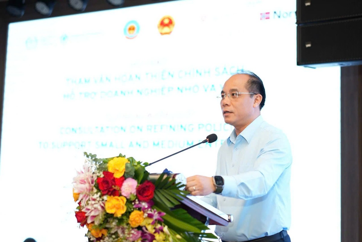 Ông Bùi Anh Tuấn, Cục trưởng Cục Phát triển doanh nghiệp tư nhân và kinh tế tập thể (Bộ Tài chính) phát biểu tại Hội thảo.