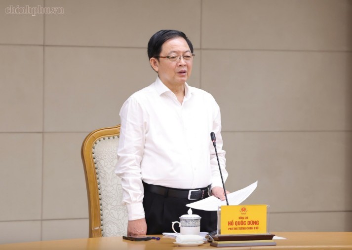 Phó Thủ tướng Hồ Quốc Dũng kết luận cuộc họp. Ảnh: chinhphu.vn