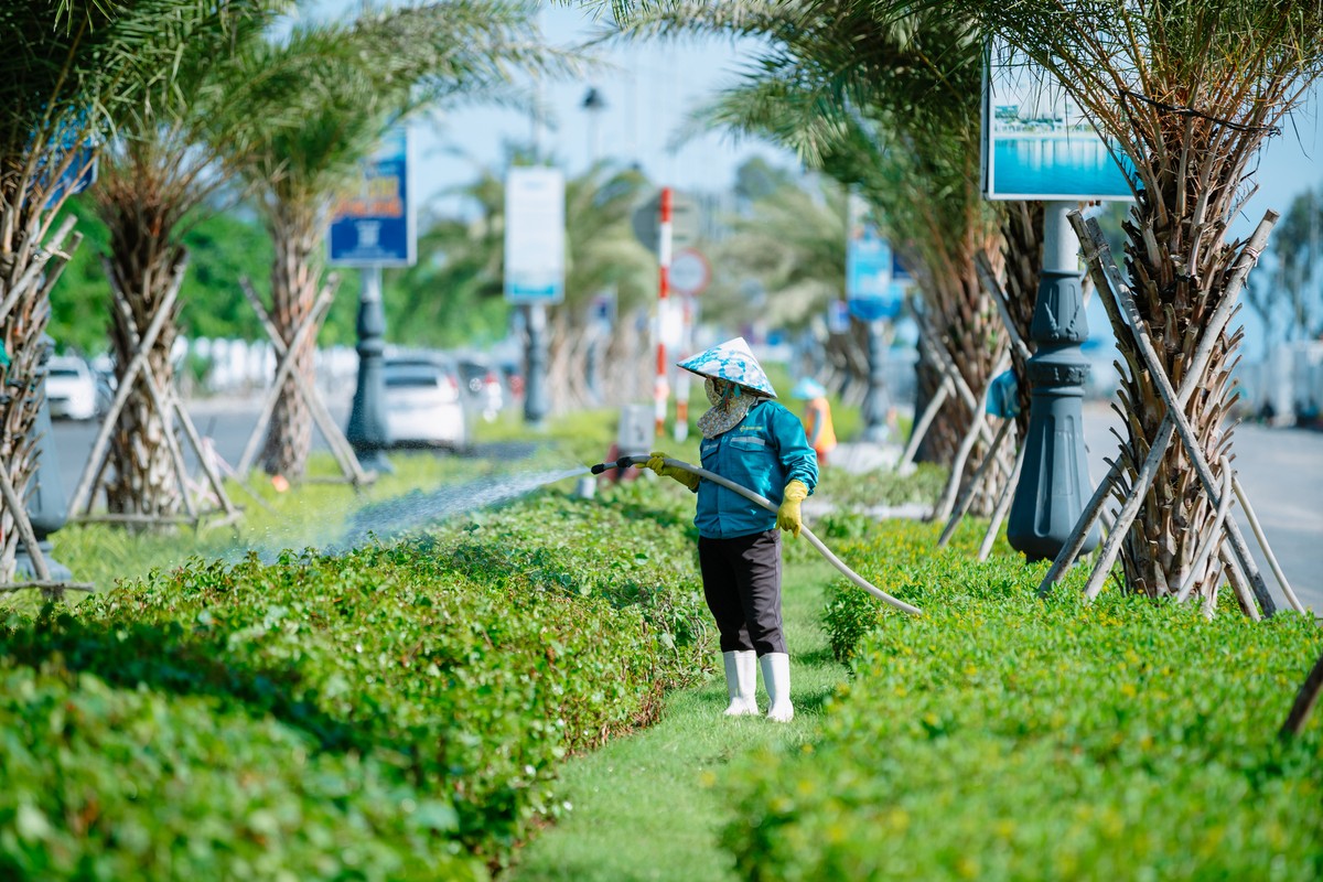 Không chỉ đẩy nhanh tiến độ hoàn thiện nhà ở, Blanca City cũng song song dồn lực chỉnh trang cảnh quan, chăm sóc hệ thống cây xanh dọc các tuyến đường nội khu và thi công các đại công viên. Như vậy, khi cư dân nhận nhà sẽ nhận về luôn hệ sinh thái môi trường xanh sức sống thay vì đợi xây nhà xong mới trồng cây. Ảnh: Ánh Dương