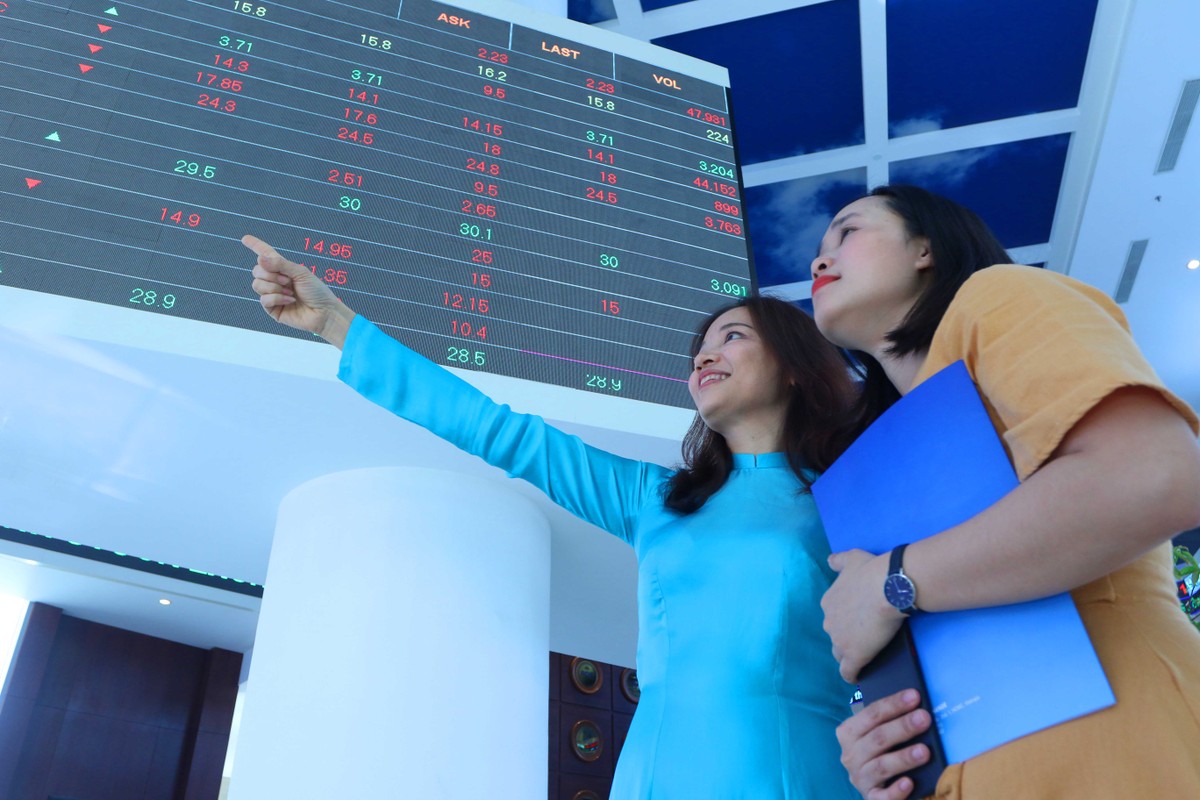 Năm 2020, trình Chính phủ thành lập Sở GDCK Việt Nam và triển khai các biện pháp nâng hạng thị trường ảnh 12