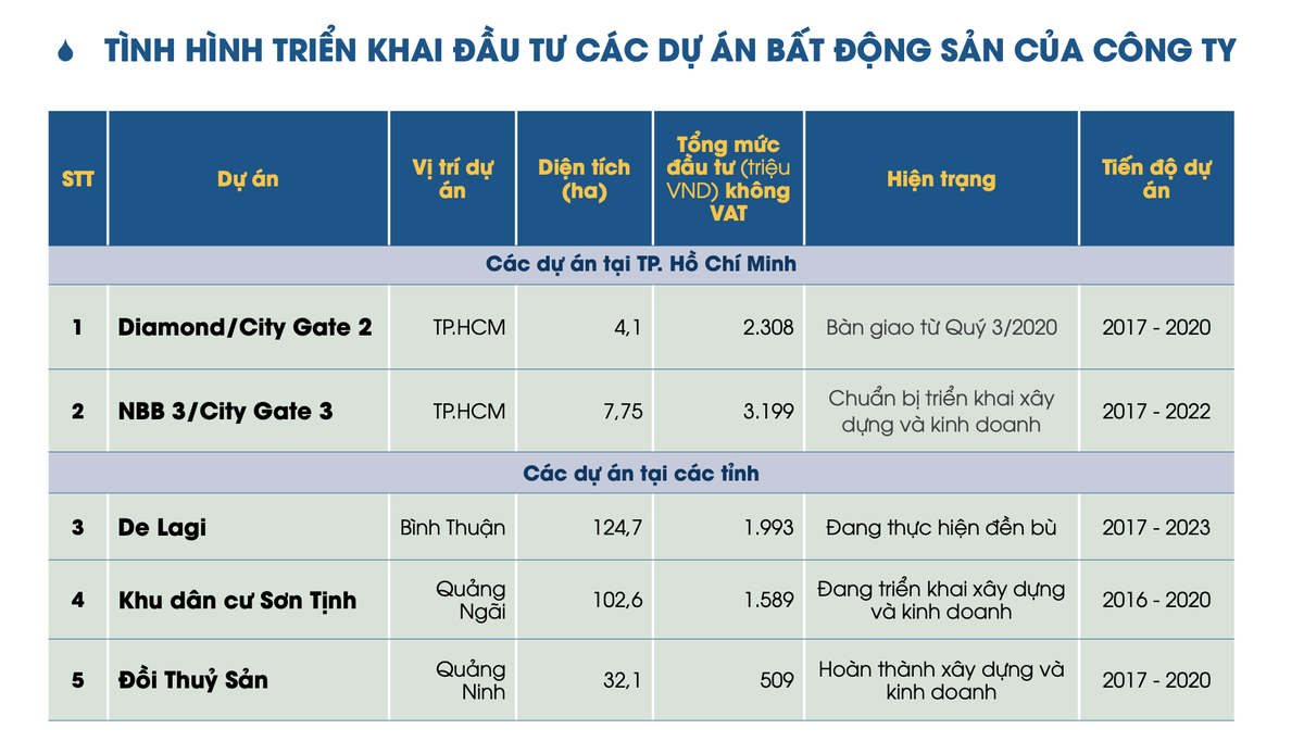 Năm Bảy Bảy (NBB): Bàn giao dự án Diamond Riveside, lên kế hoạch doanh thu gấp 4 lần ảnh 1