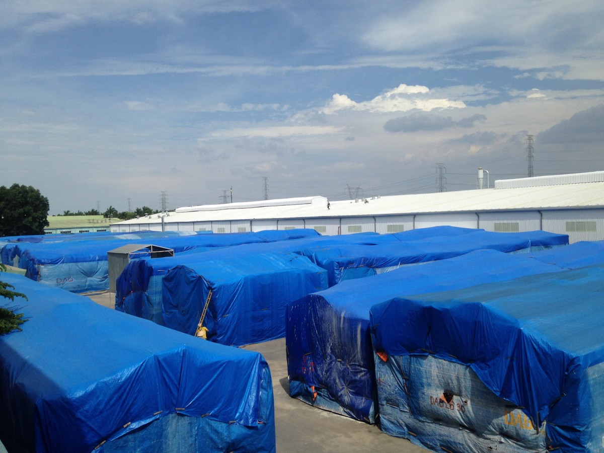 Ông Mai Hữu Tín: “Năm 2020, Gỗ Trường Thành phải có lãi, nếu không tôi xin từ chức“ ảnh 1