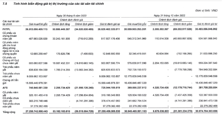 Danh mục đầu tư của SSI tính tới 30/6/2023.