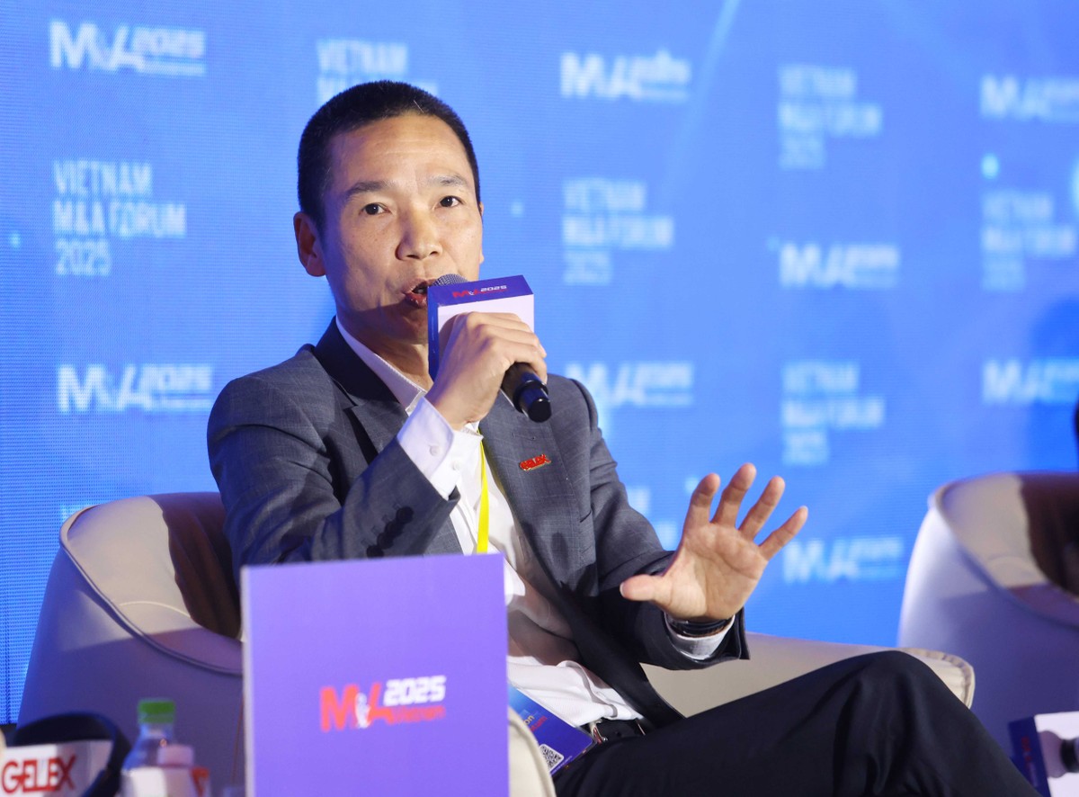 Theo ông Nguyễn Hoàng Long, Phó tổng giám đốc Tập đoàn GELEX. Hình ảnh: Lê Toàn