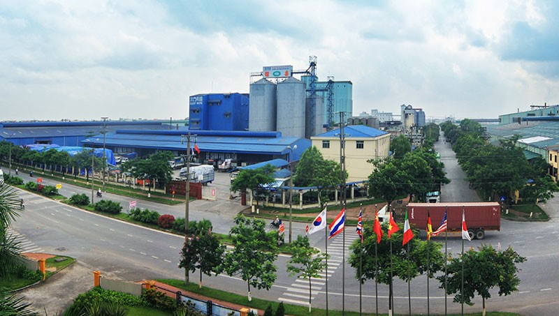 6 tháng, Viglacera tăng trưởng lợi nhuận ấn tượng ảnh 1