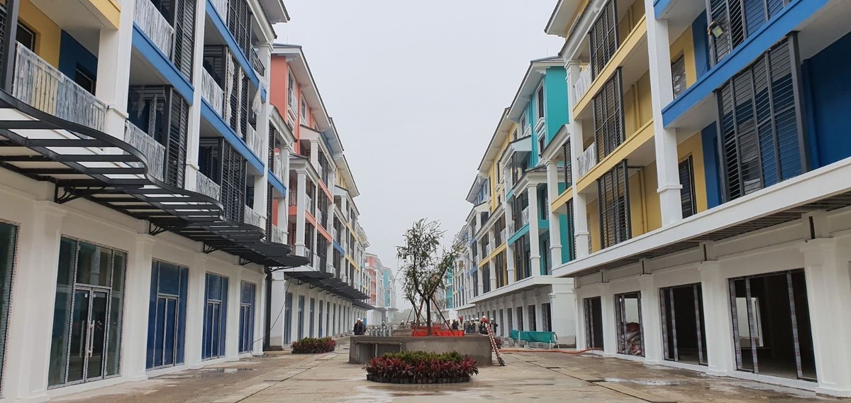 Kết thúc năm tài chính 2019, Tập đoàn CEO tăng trưởng ấn tượng ảnh 1