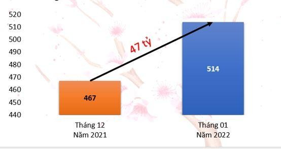 So cùng kỳ 2021, doanh thu toàn công ty tăng 196 tỷ đồng, tương ứng với mức tăng 62%