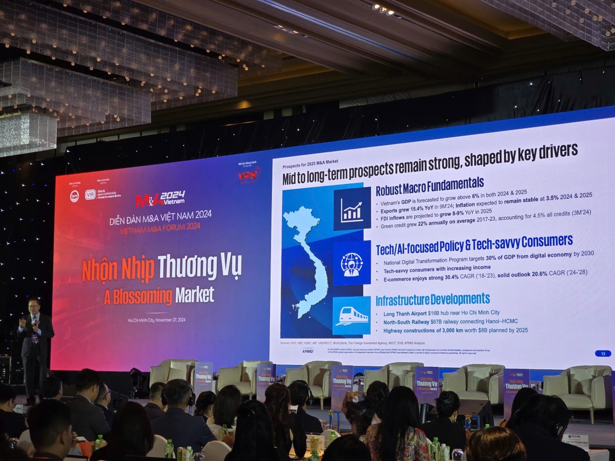 Diễn đàn M&A Việt Nam 2024: Nhộn nhịp thương vụ ảnh 8