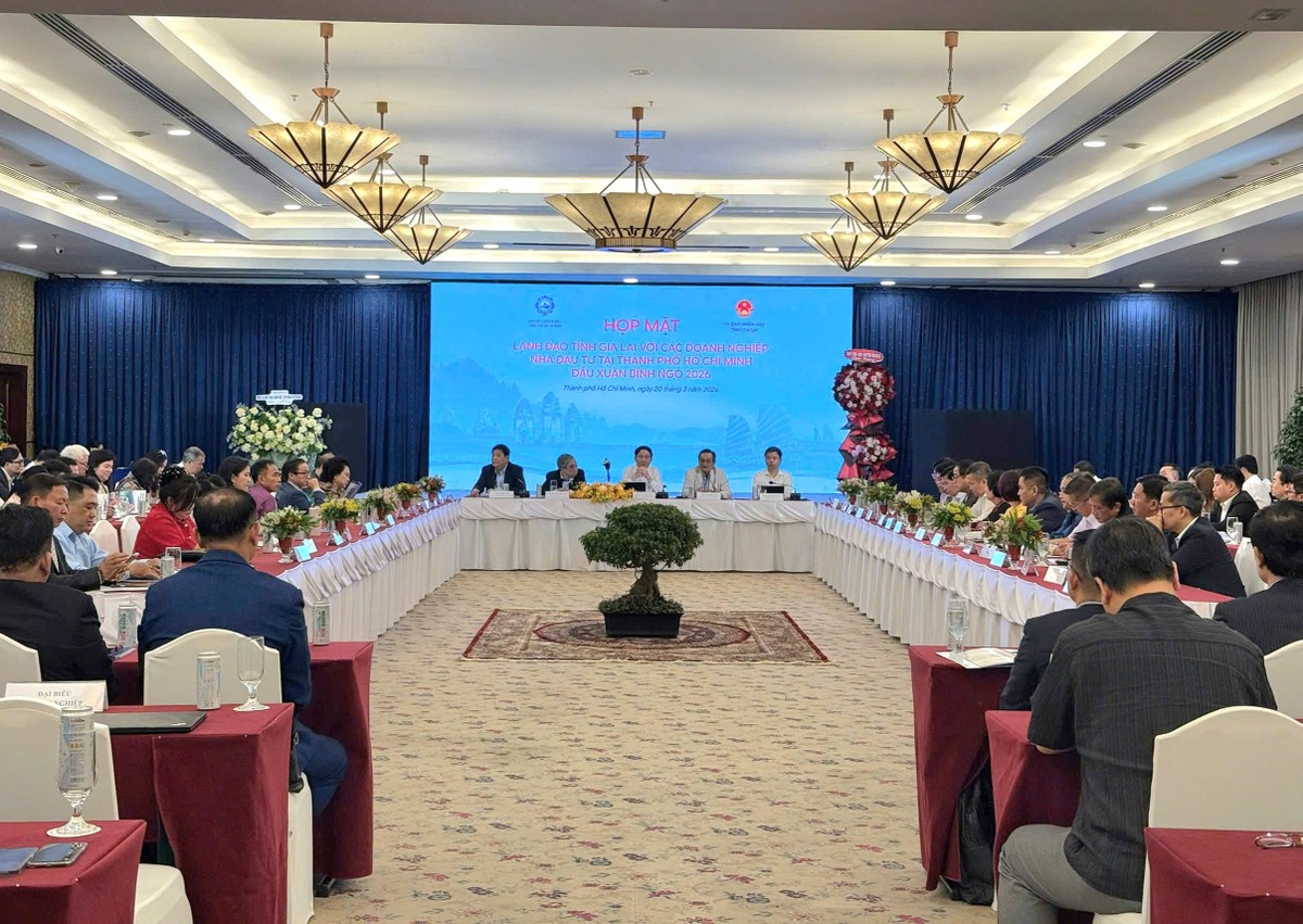 Lãnh đạo tỉnh Gia Lai gặp gỡ các doanh nghiệp và nhà đầu tư tại TP.HCM chiều 20/03.