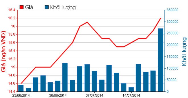 NTL: Doanh thu và lợi nhuận quý II cùng sụt giảm mạnh ảnh 1
