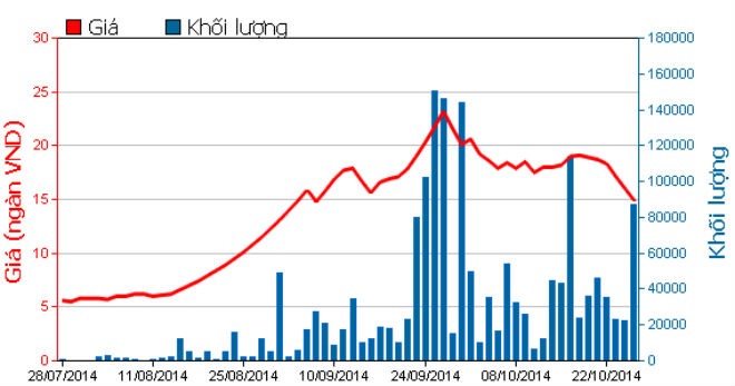 KSH sắp chào bán riêng lẻ 15 triệu cổ phiếu để cơ cấu nợ ảnh 1