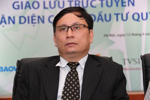 Quy luật TTCK 2013 khác với những năm trước  ảnh 13