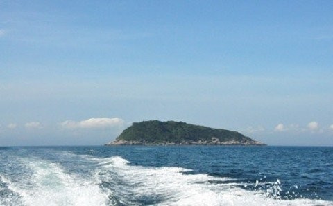 Kho báu triệu đô dưới đáy biển Việt Nam ảnh 3