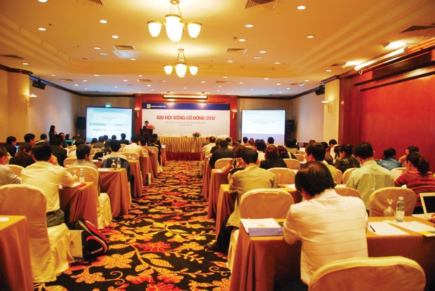 3 vấn đề nóng mùa ĐHCĐ 2013 ảnh 1