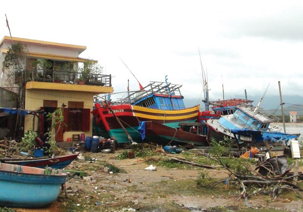 Bảo hiểm PJICO phản ứng nhanh trước và sau bão số 10 ảnh 1