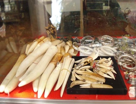 Thú chơi độc của giới nhà giàu ảnh 3 Thú chơi độc của giới nhà giàu ảnh 3