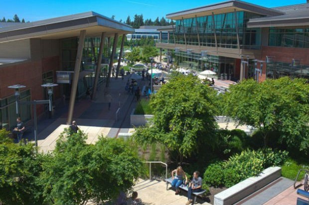 Google là công ty được nhân viên yêu mến nhất ảnh 4