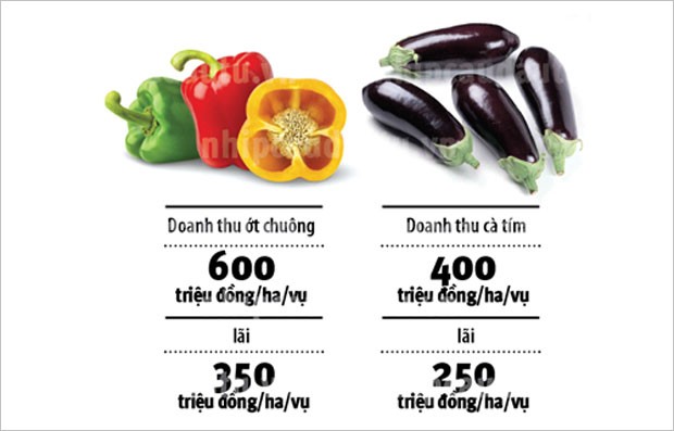 Xem Unifarm làm nông ảnh 1