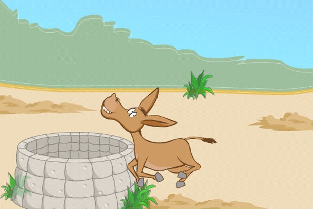 Con lừa và cái áo… ảnh 1