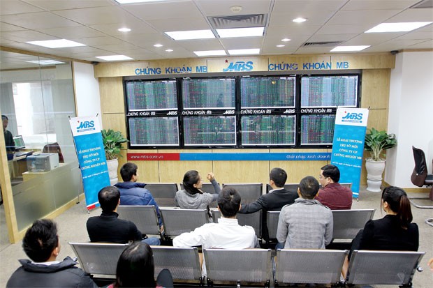 Hé lộ "chiêu" làm đẹp báo cáo tài chính của HAG ảnh 1