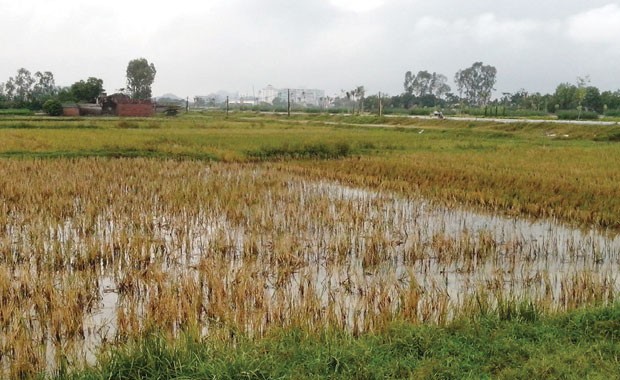 Dân Thanh Hóa mua nhầm… “đất đa cấp” ảnh 1