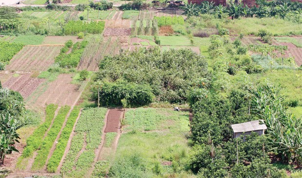 Định giá đất bồi thường: Phải độc lập ảnh 1