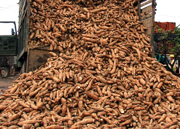 Nợ hàng trăm tỷ đồng, nhà máy cồn Ethanol bị bao vây ảnh 2 Nợ hàng trăm tỷ đồng, nhà máy cồn Ethanol bị bao vây ảnh 2