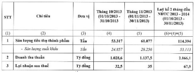 HSG ước lãi sau thuế 67,5 tỷ đồng ảnh 1