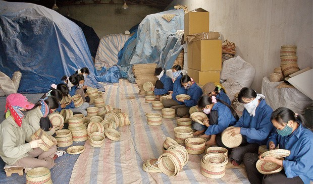 Sửa Luật Phá sản, cần nhìn lại "vết xe đổ" ảnh 1