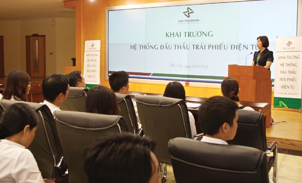 Ai mua TPCP nhiều nhất năm 2012? ảnh 1