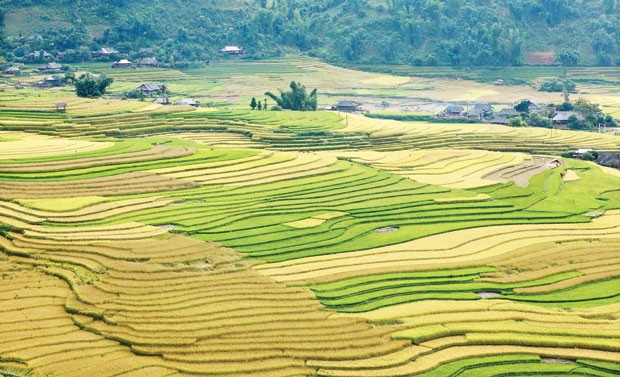 Nhận diện khó khăn để vững bước  ảnh 3 Nhận diện khó khăn để vững bước  ảnh 3