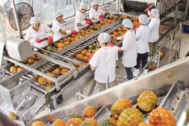 Dự thảo Thông tư bảo hiểm hưu trí tự nguyện: Nhiều điểm khó thực thi ảnh 1