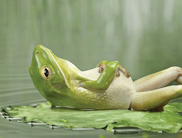 Thi nói thật… ảnh 1