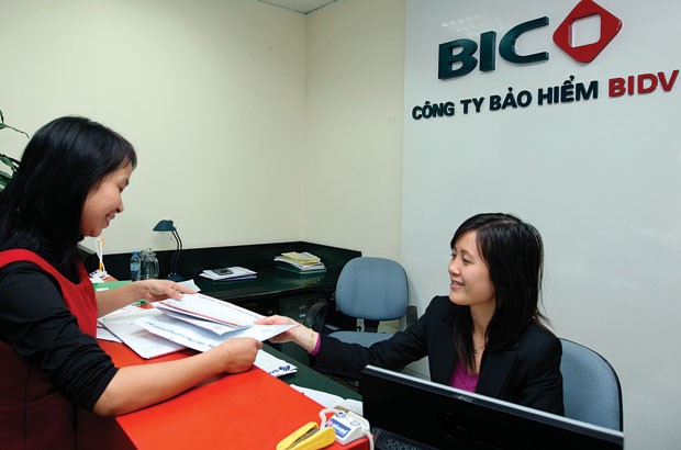 Bảo hiểm phi nhân thọ lạc quan sớm ảnh 1