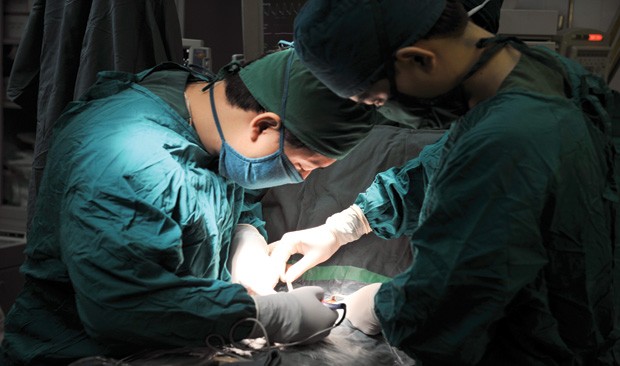 Trục lợi bảo hiểm, không chỉ khách hàng ảnh 1 Trục lợi bảo hiểm, không chỉ khách hàng ảnh 1