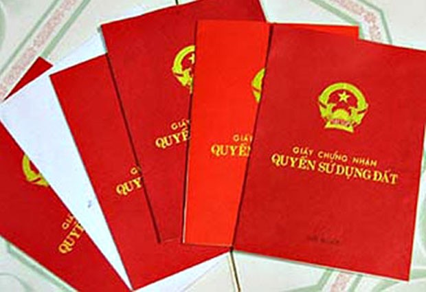 TP. HCM: Rồng rắn đi trả "sổ đỏ" vì thiếu tiền nộp thuế đất ảnh 1