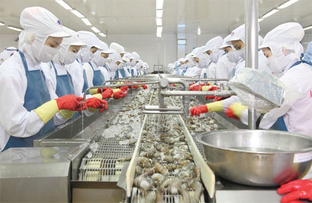 Minh Phú quyết hủy niêm yết quá dễ, vì sao?  ảnh 1 Minh Phú quyết hủy niêm yết quá dễ, vì sao?  ảnh 1