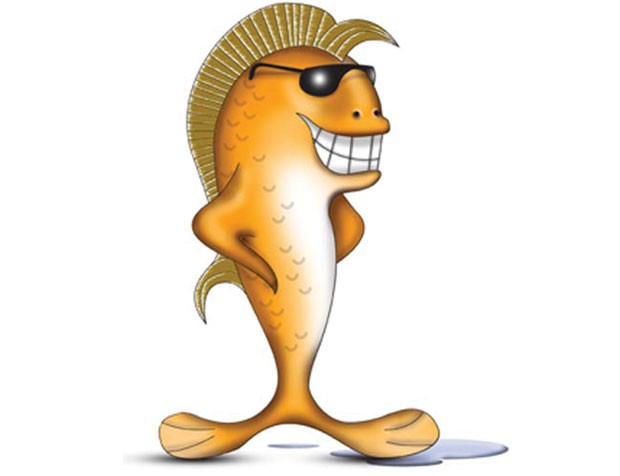 Luận về thân cá! ảnh 1 Luận về thân cá! ảnh 1