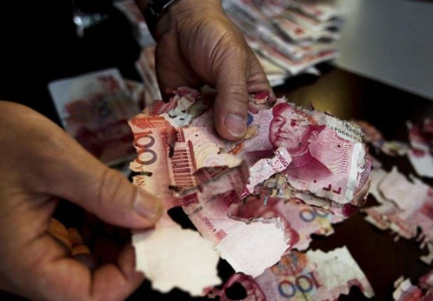 60.000 nhân dân tệ bị mối ăn nham nhở ảnh 1