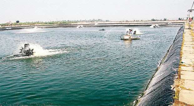 Sửa Hiến pháp trước, Luật Đất đai sau ảnh 1