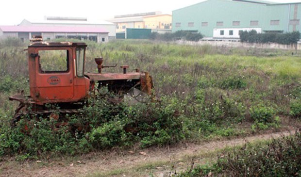 Hà Nội vẫn còn lượng lớn đất bỏ hoang ảnh 1