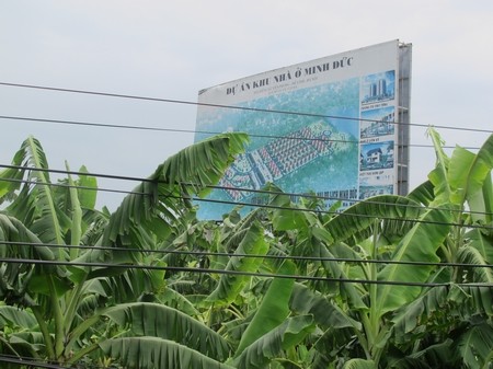 Choáng với cảnh hoang vu "siêu đô thị" Mê Linh ảnh 15